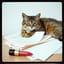 Adoro lo stress (comunque…) (Remix)