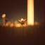 Slow Bloom