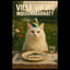 Ville Viking – Midsommarnatt