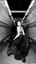 İSTERİM SENDEN