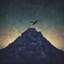 Daima Zirvede