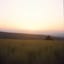 Dawn Awakening / 黎明觉醒