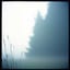 2. Fading Echoes