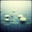 In the Rain, at the End of June | Haziran Sonunda, Yağmurda | 六月底,在雨中