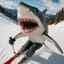 Ski