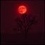 Blood on the Mesquite (Cover)