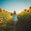 🌻ひまわりの咲く道で🌻