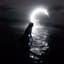 MOONLIGHTS