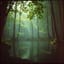 Organic House / Downtempo Electronica (D)