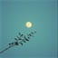 4. Whispers on the Breeze