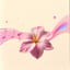茉莉花之歌