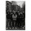 Dociles  