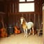 Thirty-five HOME SWEET HOME 2