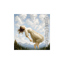 Là-Haut, Dans Les Nuages...