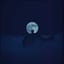 Voices Don’t Sleep