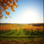 From summer to autumn– © 2025 (Lyuda Galinskaya lyrics) v.2.10R
