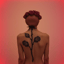Tant pis les roses