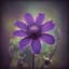 Mystic Dahlia
