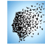 La Cancion de los Amantes (Lyrics/Ares)