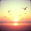 Sunrise (4.5+ Edition)