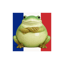 Frog goes to France🐸🇫🇷