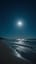 enjoy the night