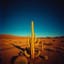 Wandering the Deserts