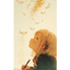 透明な羽音 🪶