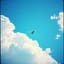 Avis Caerulea (Blue Bird) (Remix by Lux Aeterna)