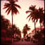 MIAMI CALOR