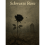 Schwarze Rose