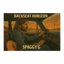 BACKSEAT HORIZON