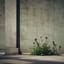 Bunkerblumen :-) i like this version