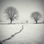 Tracks In The Snow
