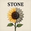 Stone (Remix)