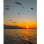 “Al caer el sol”