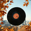 Dust on the Needle