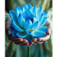 Om Tat Sat 