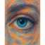 Vision