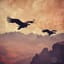Vultures in the Dust
