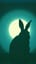 Bunny in the Dark  