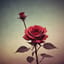 血玫  Blood Rose