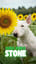 Stone (Remix) SUNO