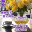 《週末的陽光》