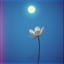 un hermoso error | A Beautiful Mistake