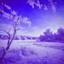 PhonkGlitchWinter