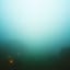Voice in the Mist