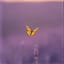Flutter-by Lullaby
