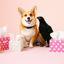 反省しているフリ（犬の歌） (Remix) (Remastered)