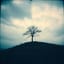 Your Sudden Goodbye (English Version)